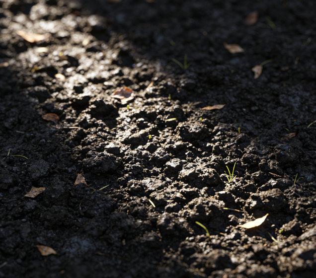 便攜式土壤重金屬測定儀多少錢？2026最新報價及采購指南